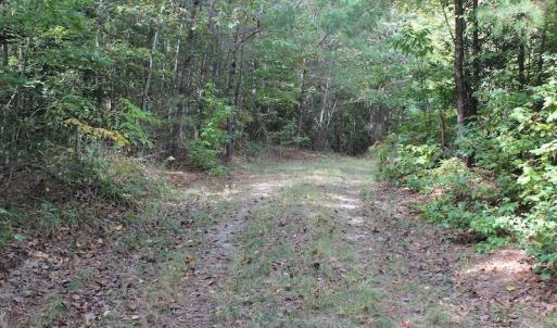 Photo of UNDER CONTRACT!  29 Acres of Residential Farm and Hunting Land For Sale in King and Queen County VA!