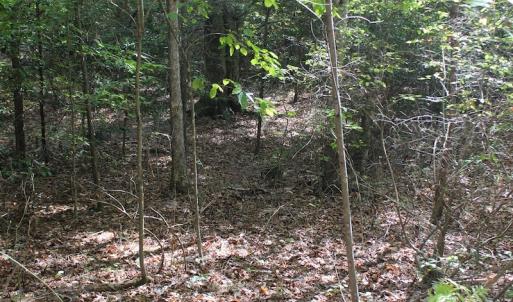 Photo of UNDER CONTRACT!  29 Acres of Residential Farm and Hunting Land For Sale in King and Queen County VA!