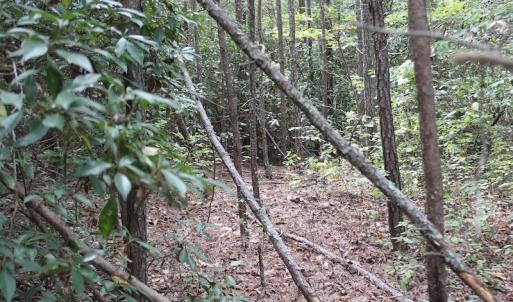 Photo of UNDER CONTRACT!  29 Acres of Residential Farm and Hunting Land For Sale in King and Queen County VA!