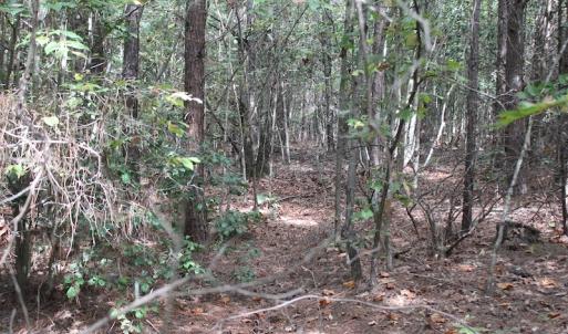 Photo of UNDER CONTRACT!  29 Acres of Residential Farm and Hunting Land For Sale in King and Queen County VA!