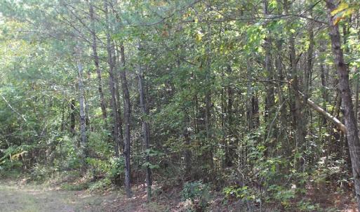 Photo of UNDER CONTRACT!  29 Acres of Residential Farm and Hunting Land For Sale in King and Queen County VA!