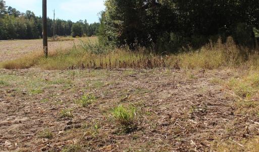 Photo of UNDER CONTRACT!  29 Acres of Residential Farm and Hunting Land For Sale in King and Queen County VA!