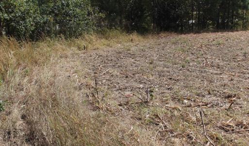Photo of UNDER CONTRACT!  29 Acres of Residential Farm and Hunting Land For Sale in King and Queen County VA!