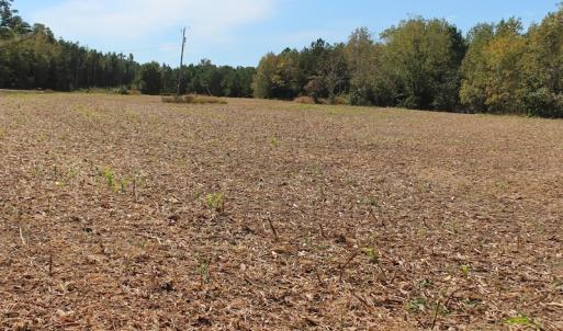 Photo of UNDER CONTRACT!  29 Acres of Residential Farm and Hunting Land For Sale in King and Queen County VA!