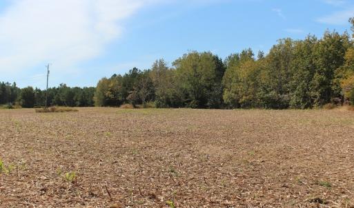 Photo of UNDER CONTRACT!  29 Acres of Residential Farm and Hunting Land For Sale in King and Queen County VA!