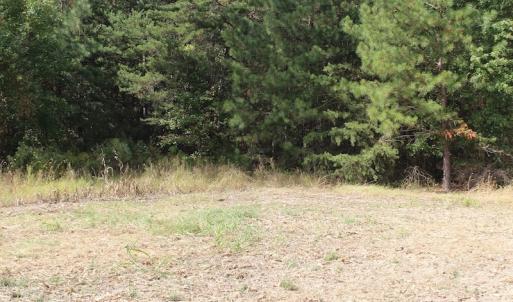 Photo of UNDER CONTRACT!  29 Acres of Residential Farm and Hunting Land For Sale in King and Queen County VA!