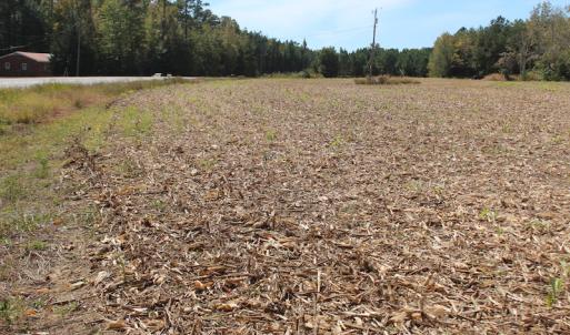 Photo of UNDER CONTRACT!  29 Acres of Residential Farm and Hunting Land For Sale in King and Queen County VA!