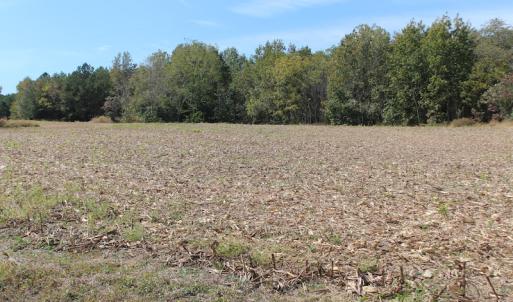 Photo of UNDER CONTRACT!  29 Acres of Residential Farm and Hunting Land For Sale in King and Queen County VA!