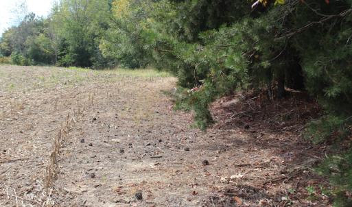 Photo of UNDER CONTRACT!  29 Acres of Residential Farm and Hunting Land For Sale in King and Queen County VA!