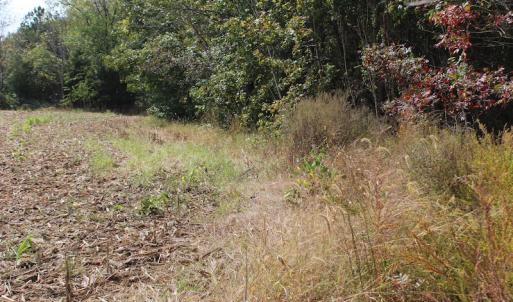 Photo of UNDER CONTRACT!  29 Acres of Residential Farm and Hunting Land For Sale in King and Queen County VA!