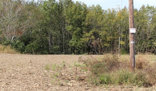 Photo of UNDER CONTRACT!  29 Acres of Residential Farm and Hunting Land For Sale in King and Queen County VA!