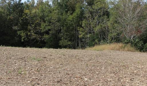 Photo of UNDER CONTRACT!  29 Acres of Residential Farm and Hunting Land For Sale in King and Queen County VA!