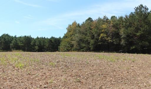 Photo of UNDER CONTRACT!  29 Acres of Residential Farm and Hunting Land For Sale in King and Queen County VA!