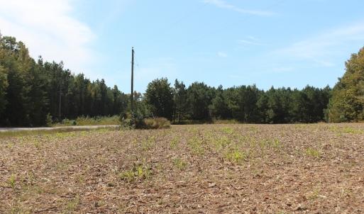 Photo of UNDER CONTRACT!  29 Acres of Residential Farm and Hunting Land For Sale in King and Queen County VA!