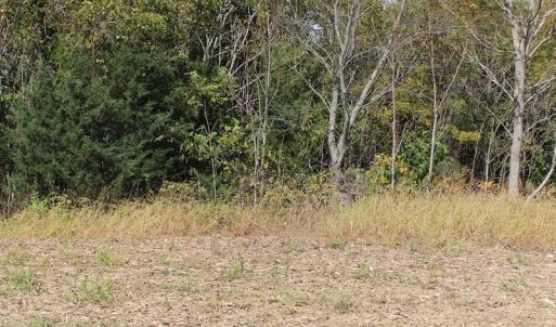 Photo of UNDER CONTRACT!  29 Acres of Residential Farm and Hunting Land For Sale in King and Queen County VA!