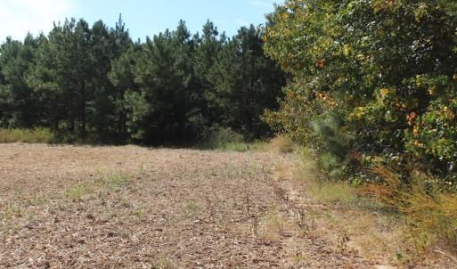 Photo of UNDER CONTRACT!  29 Acres of Residential Farm and Hunting Land For Sale in King and Queen County VA!