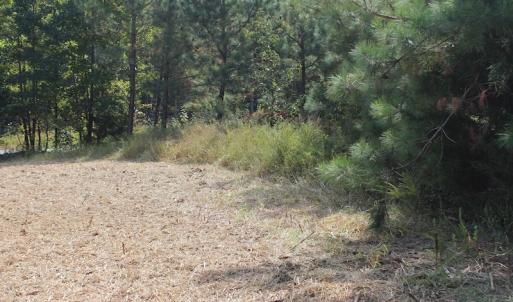Photo of UNDER CONTRACT!  29 Acres of Residential Farm and Hunting Land For Sale in King and Queen County VA!