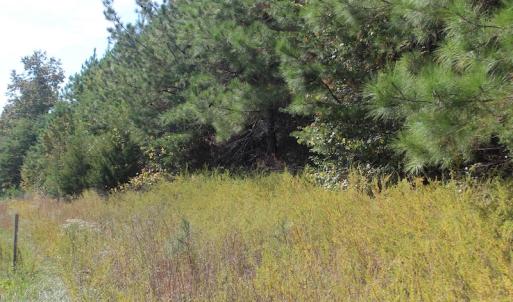 Photo of UNDER CONTRACT!  29 Acres of Residential Farm and Hunting Land For Sale in King and Queen County VA!