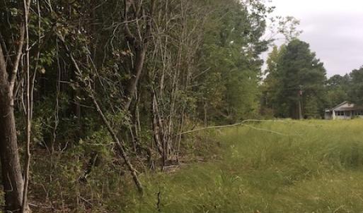 Photo of UNDER CONTRACT!  3.6 Acres of Recreational Timber Land For Sale in Robeson County NC!
