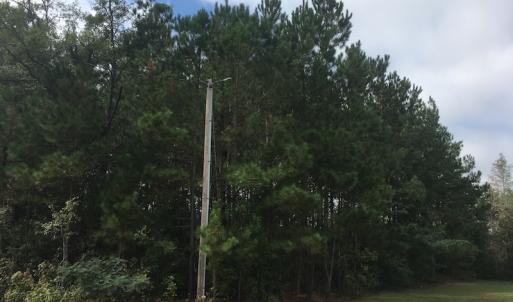 Photo of UNDER CONTRACT!  19.26 Acres of Residential Hunting Land For Sale in Robeson County NC!