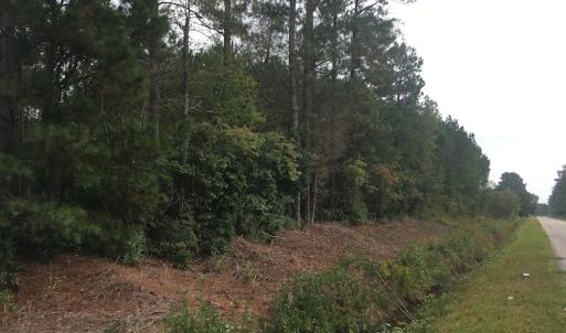 Photo of UNDER CONTRACT!  19.26 Acres of Residential Hunting Land For Sale in Robeson County NC!
