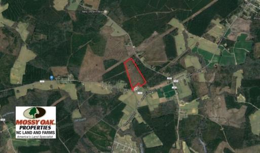 Photo of UNDER CONTRACT!  37.5 Acres of Hunting Land For Sale in Hertford County NC!