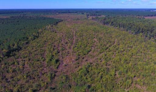 Photo of UNDER CONTRACT!  37.5 Acres of Hunting Land For Sale in Hertford County NC!
