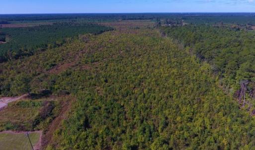 Photo of UNDER CONTRACT!  37.5 Acres of Hunting Land For Sale in Hertford County NC!