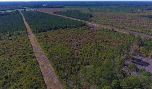 Photo of UNDER CONTRACT!  37.5 Acres of Hunting Land For Sale in Hertford County NC!