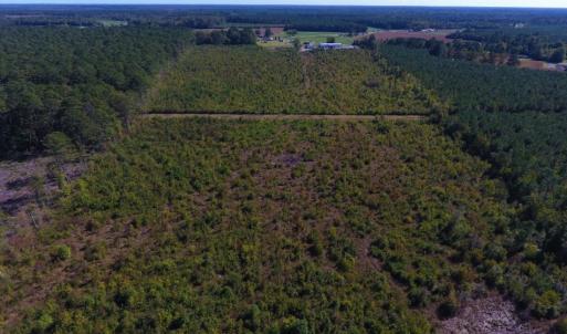 Photo of UNDER CONTRACT!  37.5 Acres of Hunting Land For Sale in Hertford County NC!