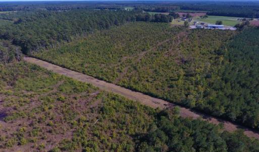 Photo of UNDER CONTRACT!  37.5 Acres of Hunting Land For Sale in Hertford County NC!