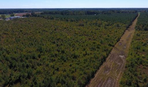Photo of UNDER CONTRACT!  37.5 Acres of Hunting Land For Sale in Hertford County NC!