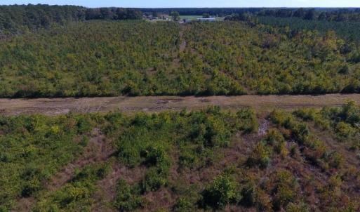 Photo of UNDER CONTRACT!  37.5 Acres of Hunting Land For Sale in Hertford County NC!