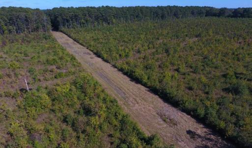 Photo of UNDER CONTRACT!  37.5 Acres of Hunting Land For Sale in Hertford County NC!