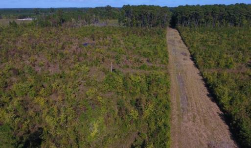 Photo of UNDER CONTRACT!  37.5 Acres of Hunting Land For Sale in Hertford County NC!