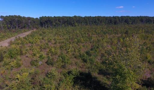 Photo of UNDER CONTRACT!  37.5 Acres of Hunting Land For Sale in Hertford County NC!