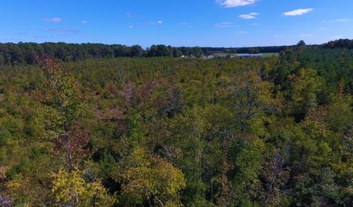 Photo of UNDER CONTRACT!  37.5 Acres of Hunting Land For Sale in Hertford County NC!