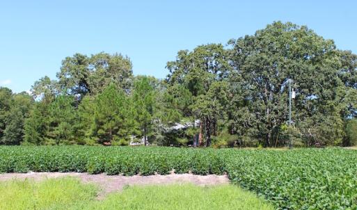 Photo of UNDER CONTRACT!  27.62 Acres of Farm and Timber Land For Sale in Harnett County NC!