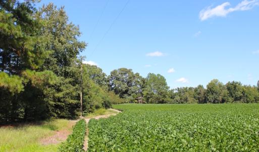 Photo of UNDER CONTRACT!  27.62 Acres of Farm and Timber Land For Sale in Harnett County NC!
