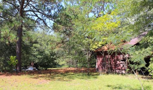 Photo of UNDER CONTRACT!  27.62 Acres of Farm and Timber Land For Sale in Harnett County NC!