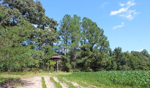 Photo of UNDER CONTRACT!  27.62 Acres of Farm and Timber Land For Sale in Harnett County NC!