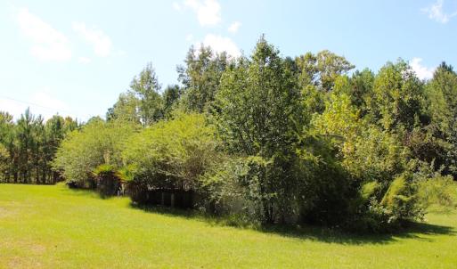Photo of UNDER CONTRACT!  27.62 Acres of Farm and Timber Land For Sale in Harnett County NC!