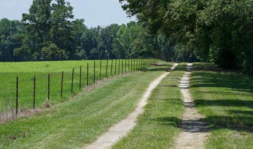 Photo of SOLD!!  187 Acres of Farm and Residential Land For Sale in Robeson County NC!
