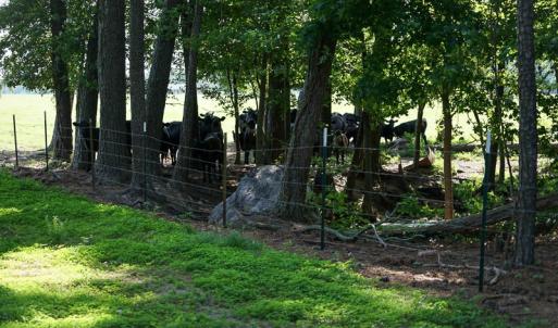 Photo of SOLD!!  187 Acres of Farm and Residential Land For Sale in Robeson County NC!