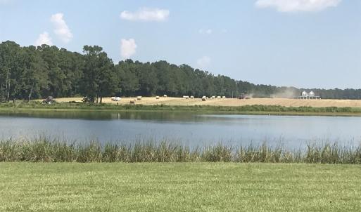 Photo of SOLD!!  187 Acres of Farm and Residential Land For Sale in Robeson County NC!