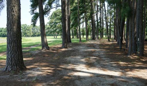 Photo of SOLD!!  187 Acres of Farm and Residential Land For Sale in Robeson County NC!