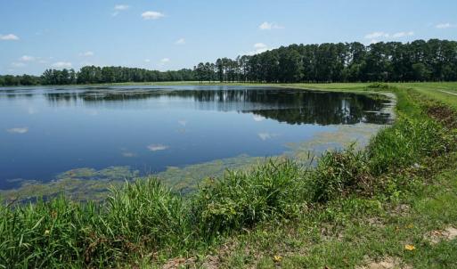 Photo of SOLD!!  187 Acres of Farm and Residential Land For Sale in Robeson County NC!