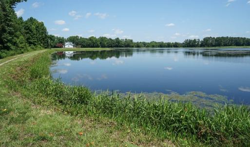 Photo of SOLD!!  187 Acres of Farm and Residential Land For Sale in Robeson County NC!