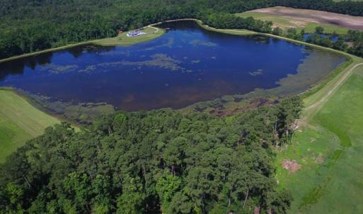 Photo of SOLD!!  187 Acres of Farm and Residential Land For Sale in Robeson County NC!