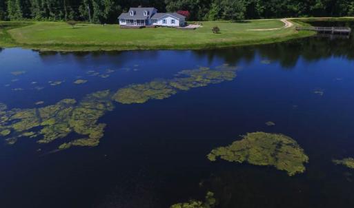 Photo of SOLD!!  187 Acres of Farm and Residential Land For Sale in Robeson County NC!
